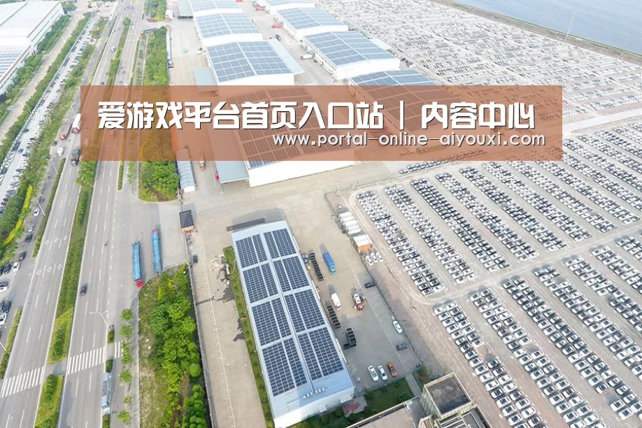 案例展示一