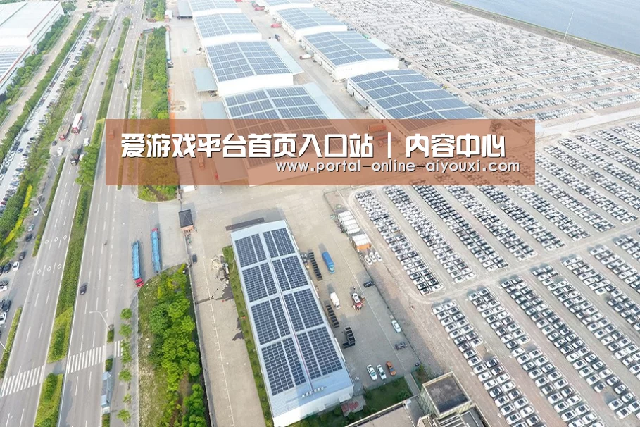 案例展示四
