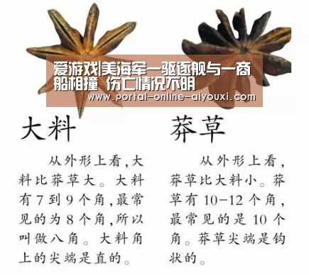 爱游戏直播