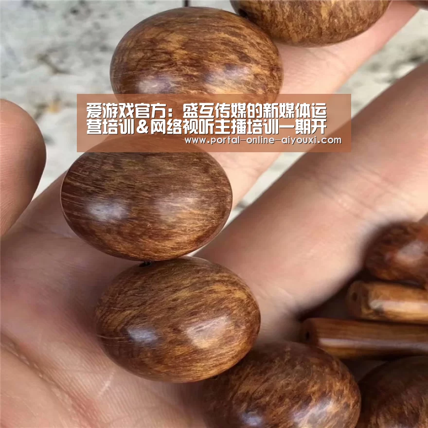 爱游戏官方:盛互传媒的新媒体运营培训&网络视听主播培训一期开班了(图3) 爱游戏直播