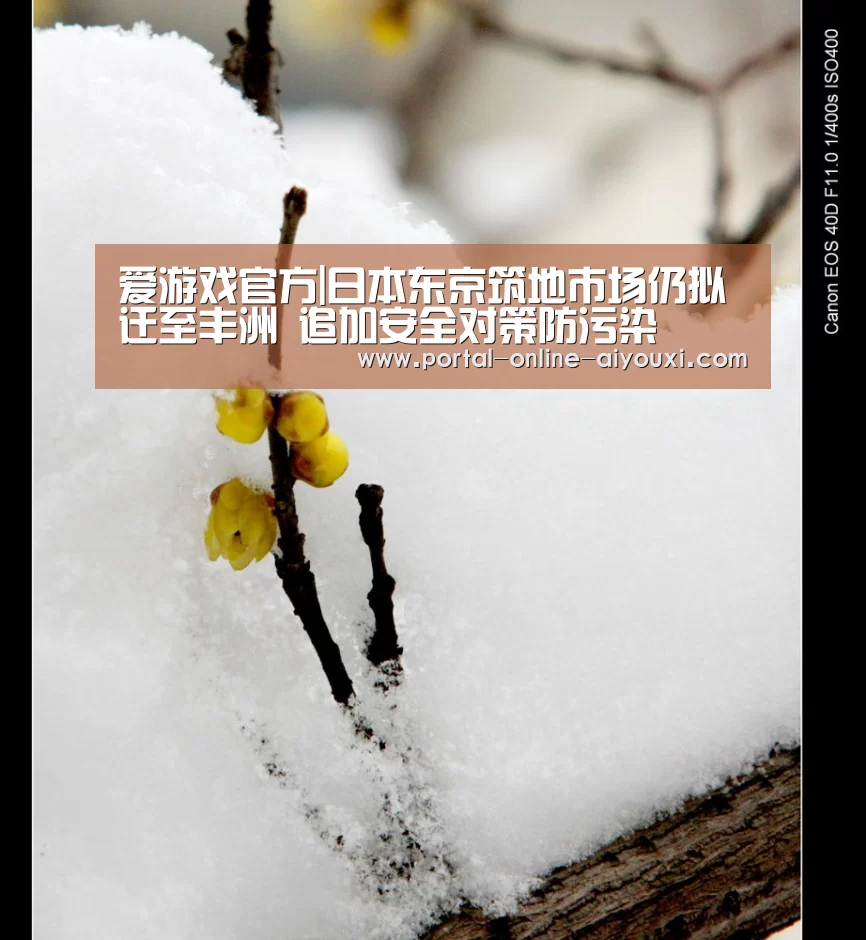 爱游戏官方|日本东京筑地市场仍拟迁至丰洲 追加安全对策防污染(图3) 爱游戏
